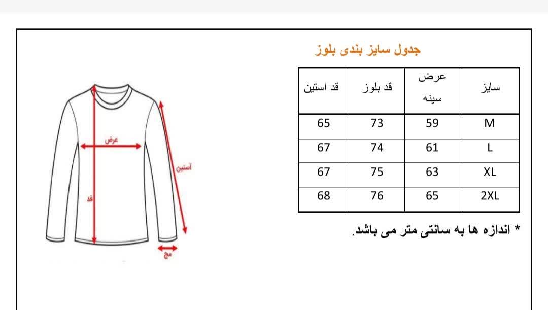 هودی مردانه دورس سهنخ داخل کرک رنگ آبی روشن با چاپ British Painting